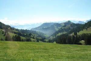 the lesser Alps in summer