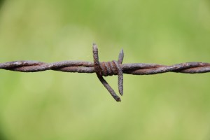 close up of barbed wire